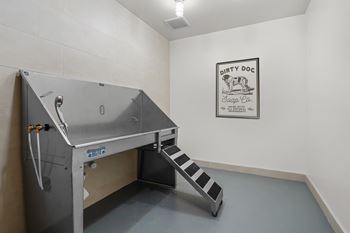Pet spa & wash station